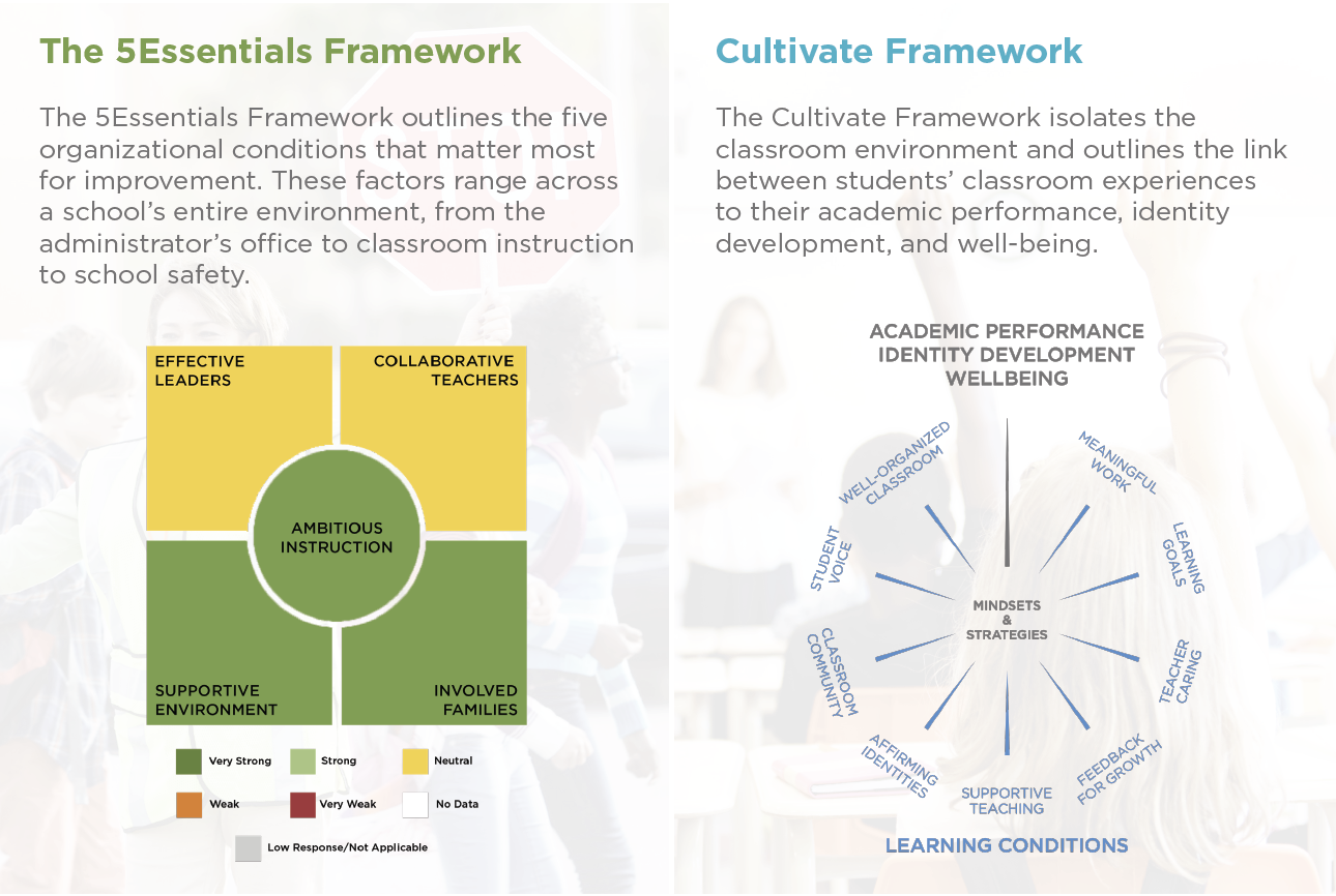 survey frameworks